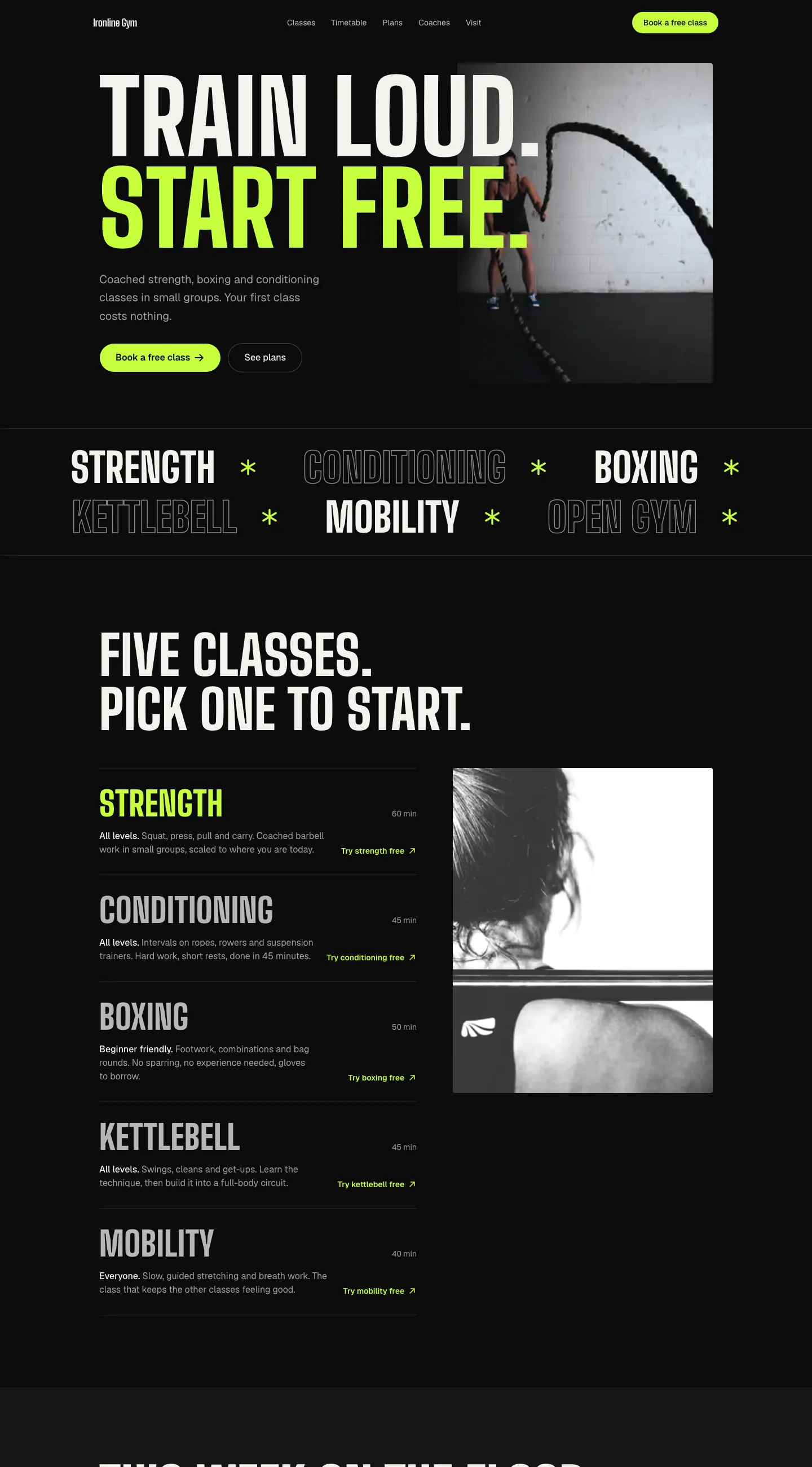 Ironline Gym template
